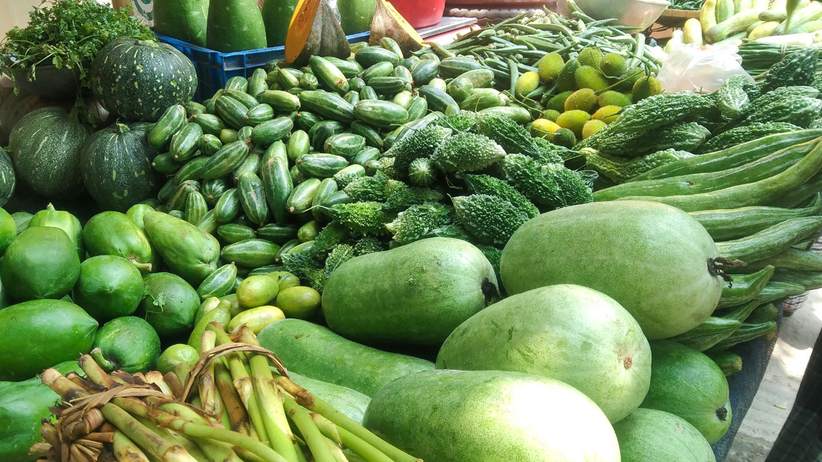 1135-20230526112810 1135-20230526112810