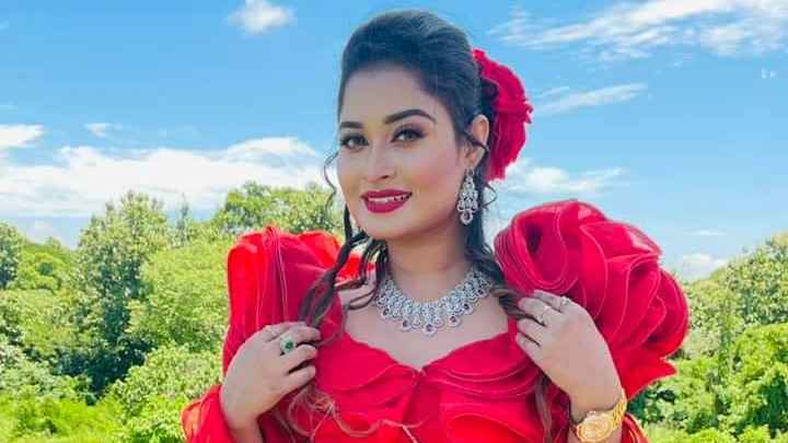 বিয়ে করছেন শিরিন শিলা 