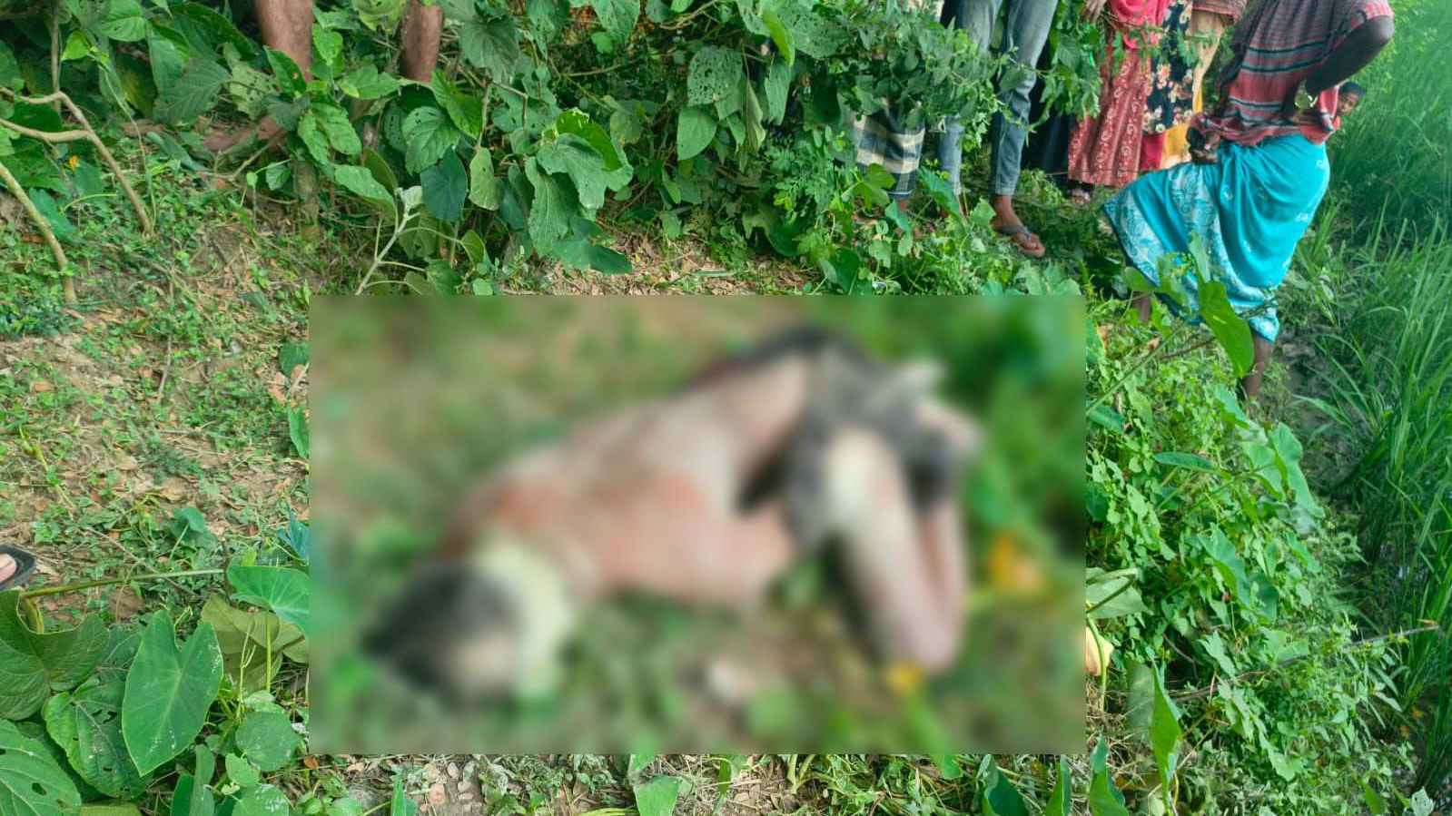 মদনে রাস্তার পাশ থেকে অটোচালকের মরদেহ উদ্ধার