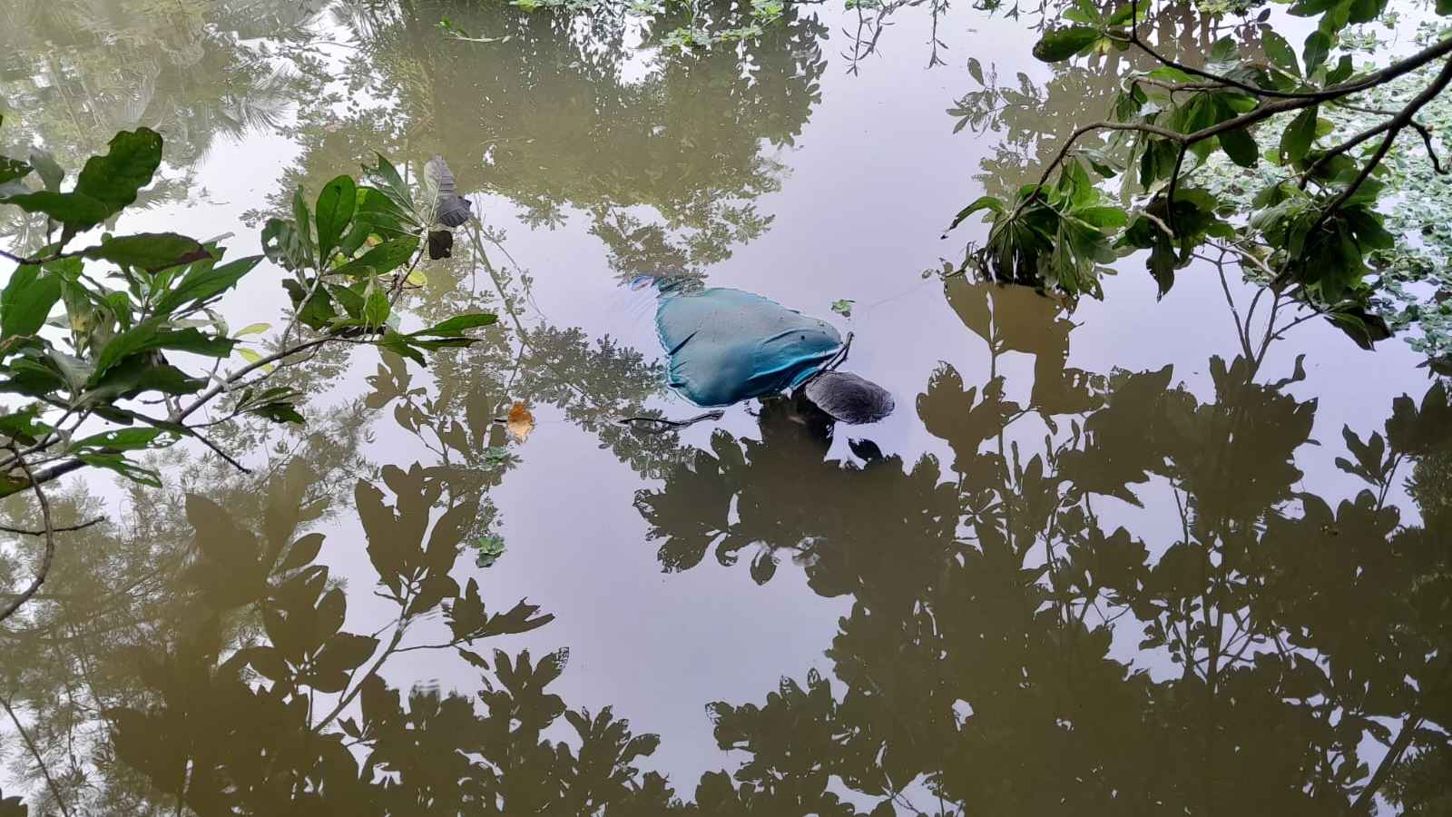 পিরোজপুরে ডোবায় ভাসছিল মরদেহ