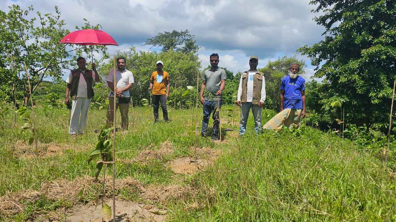 কক্সবাজার উত্তর বনবিভাগ জনবল সংকটে ফুলছড়ি রেঞ্জ