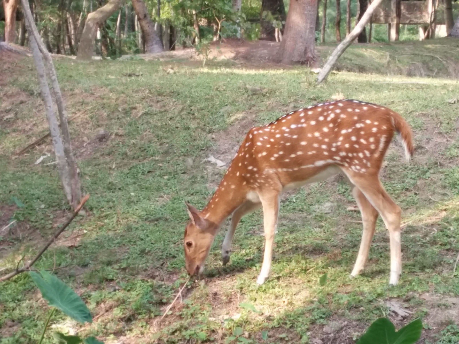 IMG_20140615_162549 IMG_20140615_162549