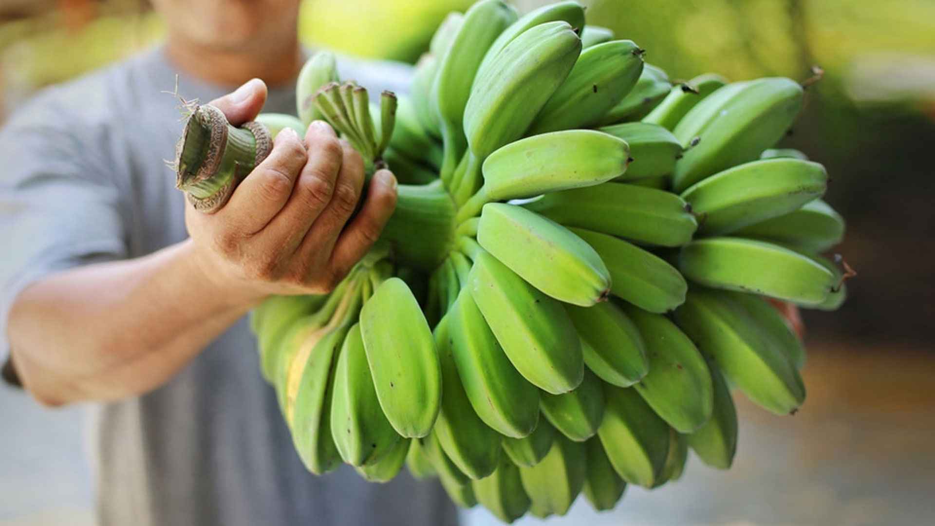 কাঁচা কলা খেলে মিলবে যেসব সুফল