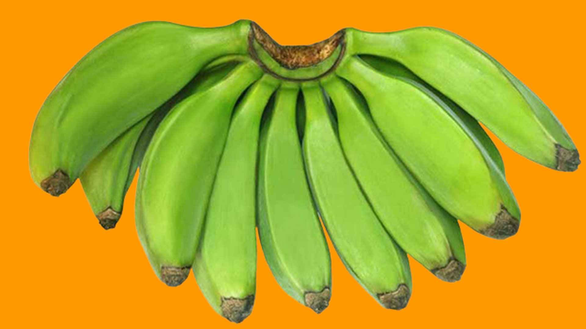 banana4 banana4