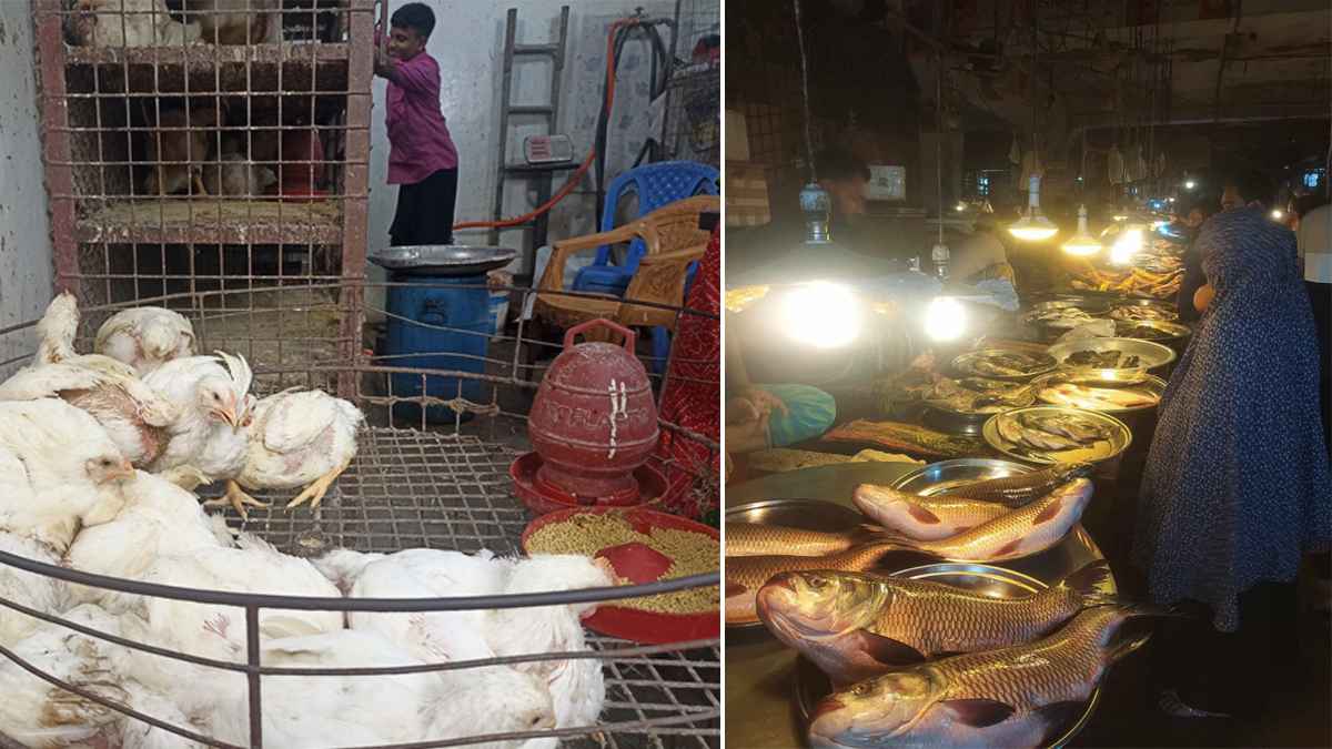 চড়া মাছের বাজার, অপরিবর্তিত মুরগির দাম