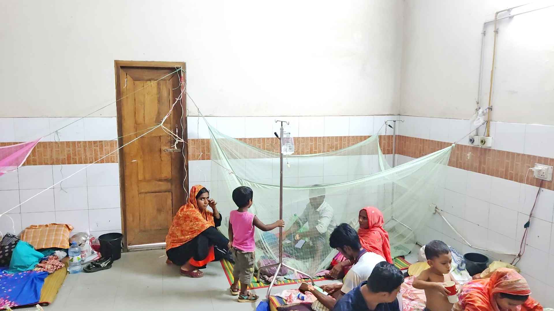 চুয়াডাঙ্গায় এক মাসে ডেঙ্গু রোগী বেড়েছে ১০ গুণ