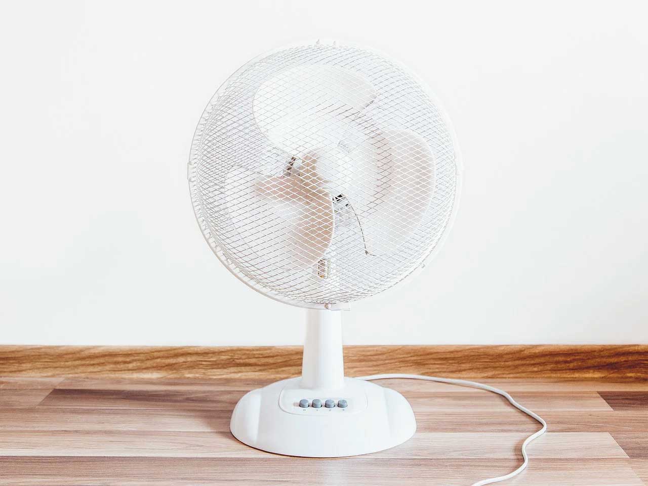 fan2