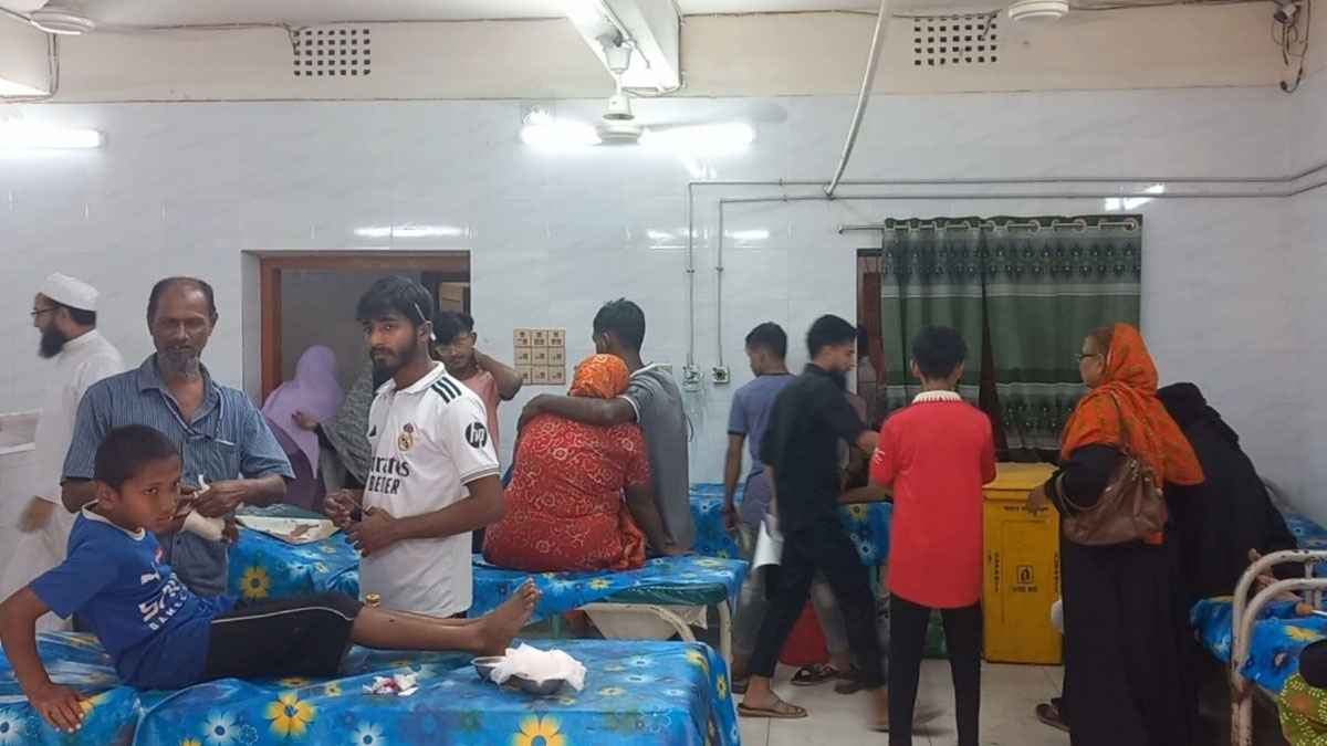 চাঁদপুরে দুই সপ্তাহে সাপের কামড়ে আহত অর্ধশত, একজনের মৃত্যু