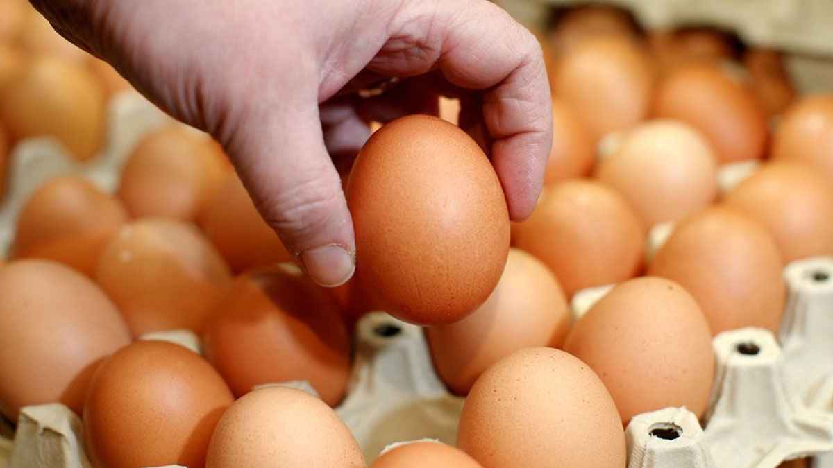 ভারত থেকে আমদানি: বেনাপোলেই ডিমের দাম ১৪ টাকা