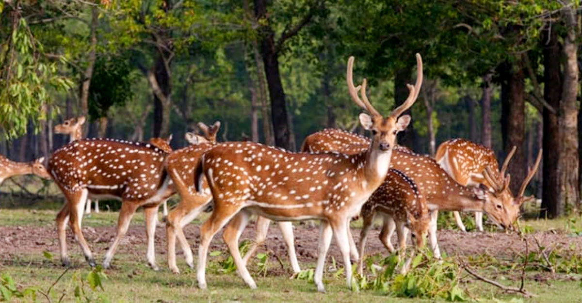 noakhali-lead-20220109162806 noakhali-lead-20220109162806