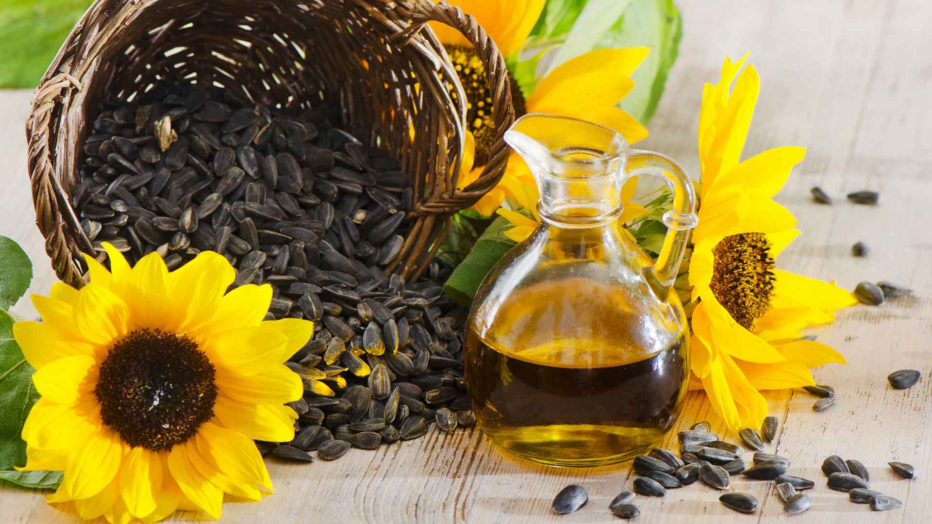 সূর্যমুখী তেল কেন খাবেন? অন্য তেলের তুলনায় এই তেল সেরা যে কারণে