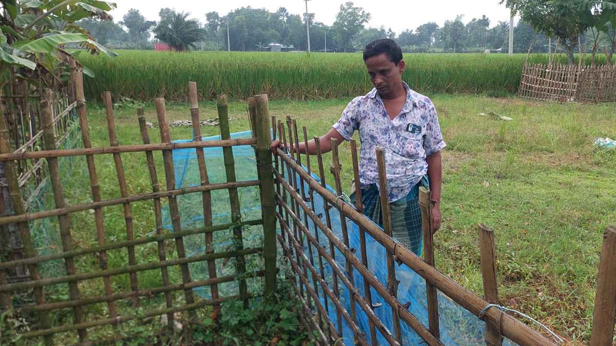 একমাত্র উপার্জনক্ষম ছেলেকে হারিয়ে দিশেহারা পরিবার