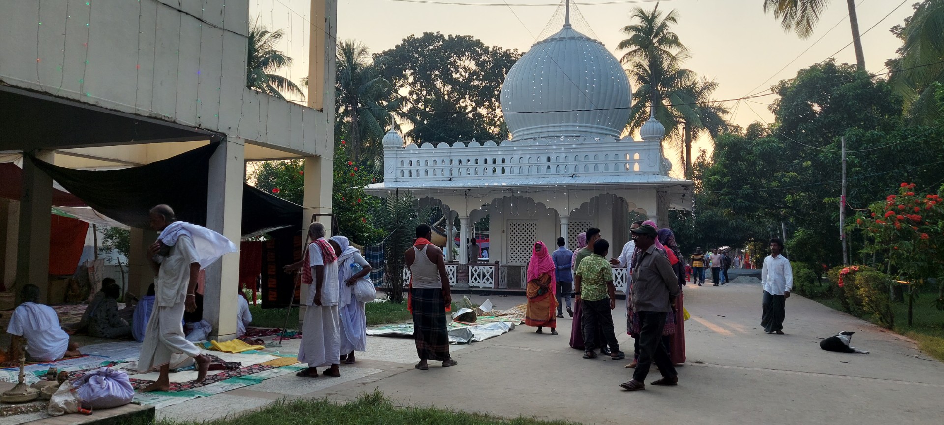 thumbnail_20241014_164856