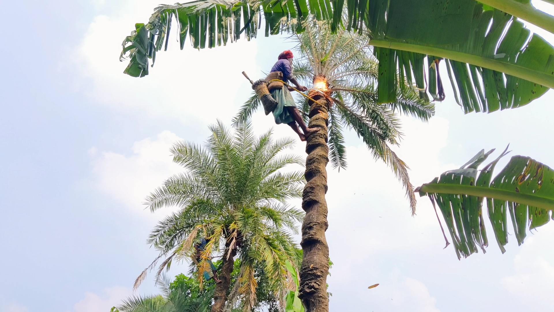 thumbnail_Chuadanga_Khejur-08