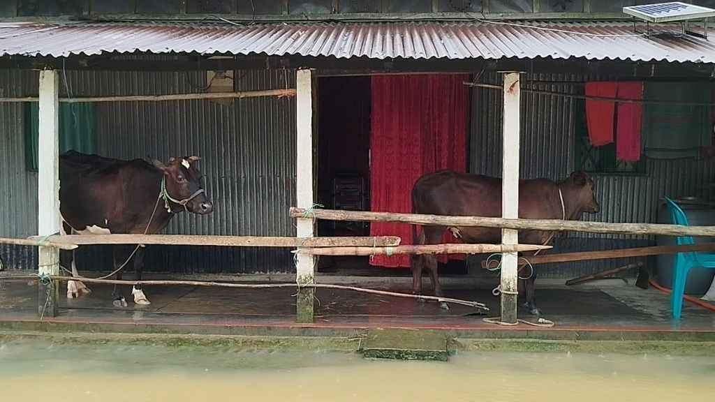 নেত্রকোনায় ফের বাড়ছে পানি, নতুন দুই উপজেলা প্লাবিত, মৃত্যু ১