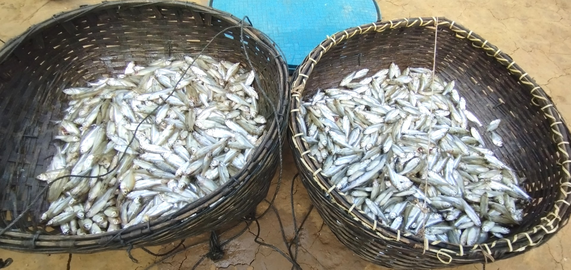 thumbnail_IMG_20241024_120624