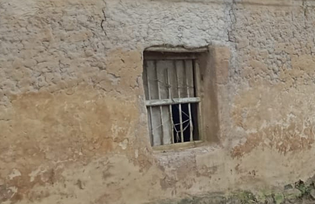 thumbnail_IMG_20241026_111819_(1080_x_700_pixel)