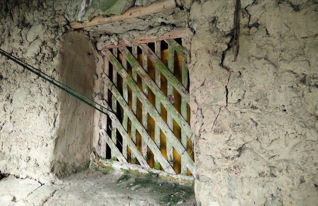 thumbnail_IMG_20241026_111925_(1080_x_700_pixel)