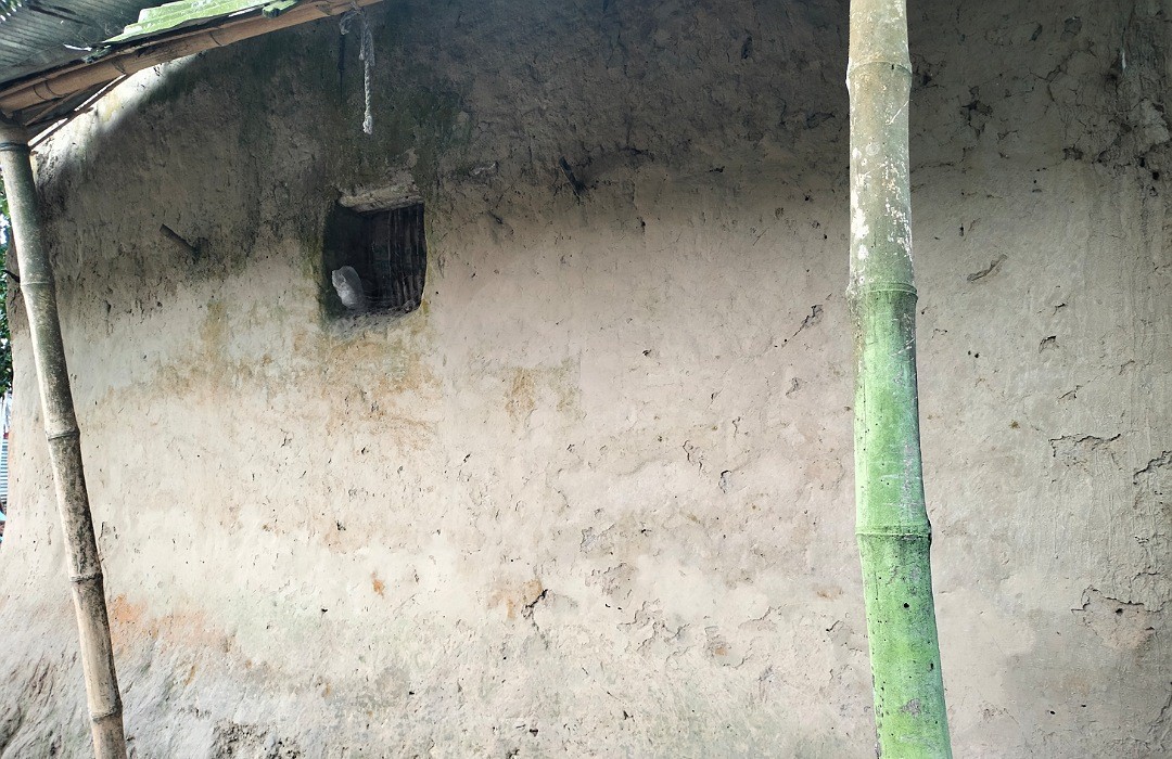 thumbnail_IMG_20241026_111947_(1080_x_700_pixel)