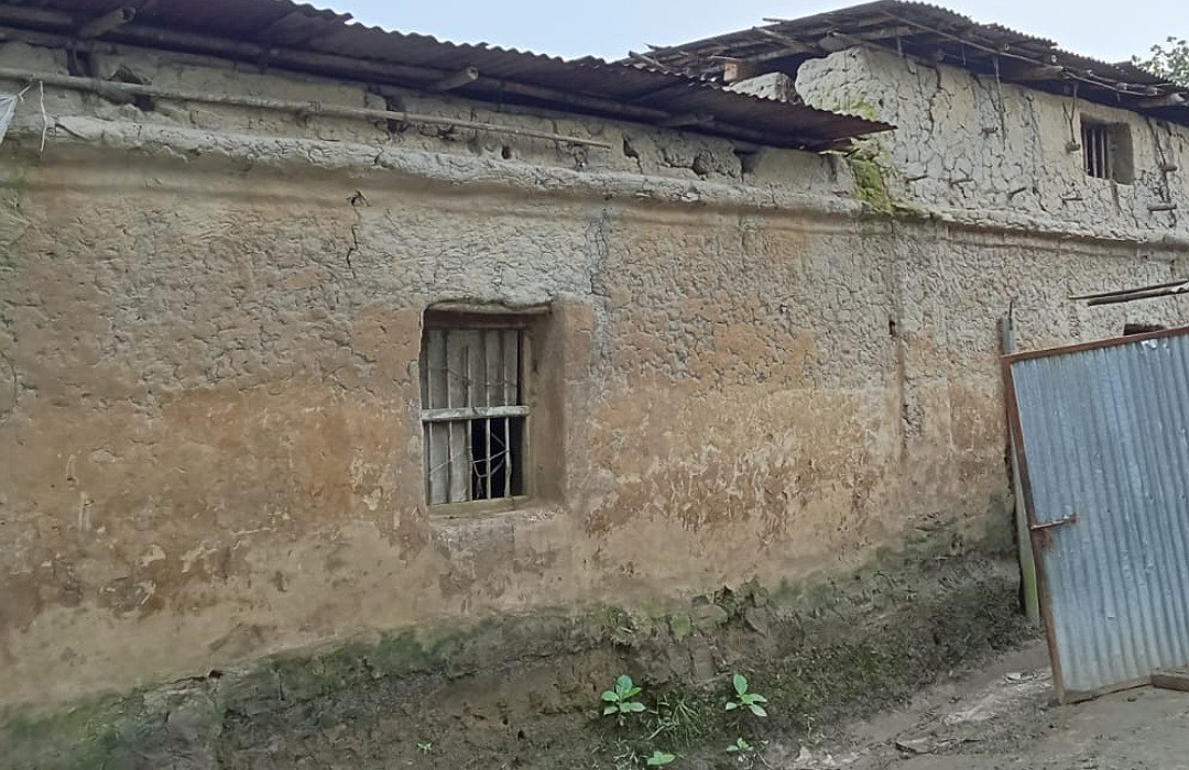 thumbnail_IMG_20241026_112248_(1080_x_700_pixel)