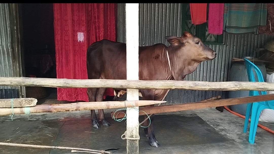 thumbnail_Screenshot_2024-10-08-19-24-48-045_com.miui.mediaviewer-edit