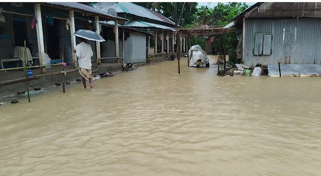 thumbnail_Screenshot_2024-10-08-19-25-27-441_com.miui.mediaviewer-edit