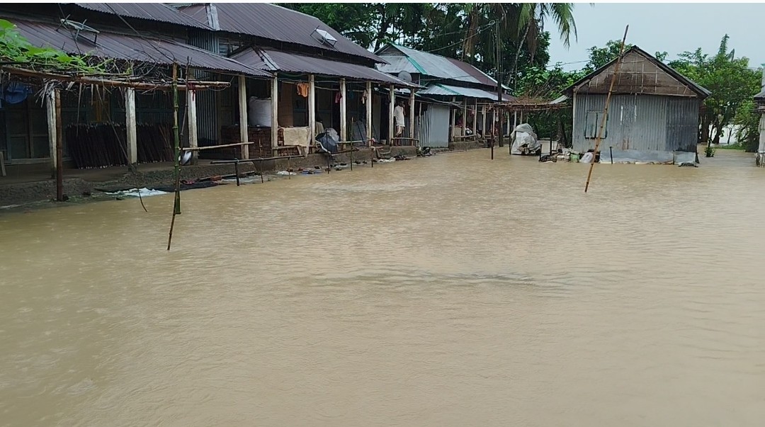 thumbnail_Screenshot_2024-10-08-19-27-17-610_com.miui.mediaviewer-edit