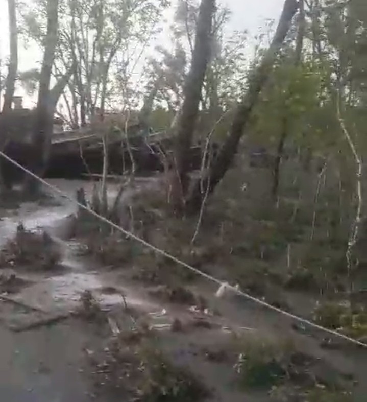 thumbnail_Screenshot_2024-10-14-14-57-00-15_e5d3893ac03954c6bb675ef2555b879b