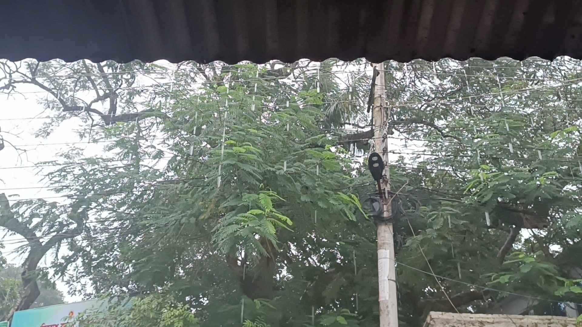 প্রধান উপদেষ্টার একান্ত সচিব হলেন কুমিল্লার মোজাম্মেল হক