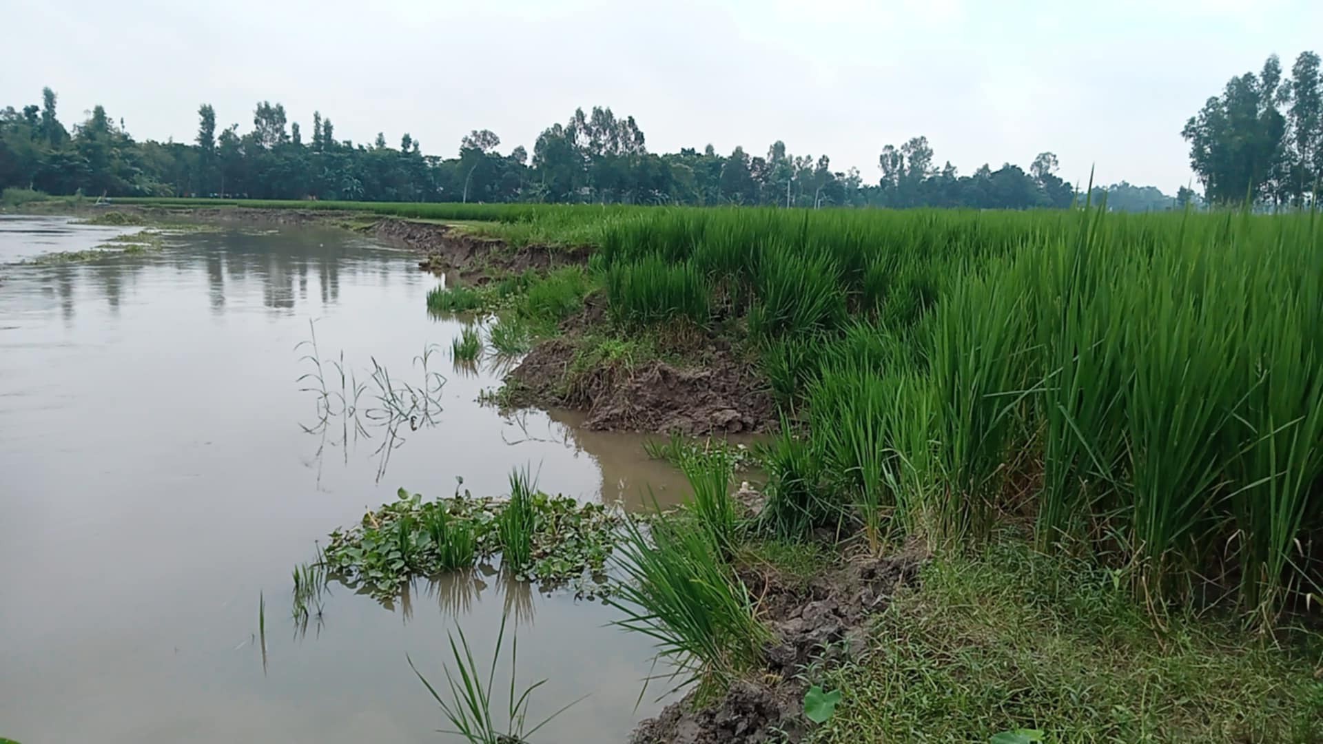 thumbnail_zakir_p2_(1)_11zon