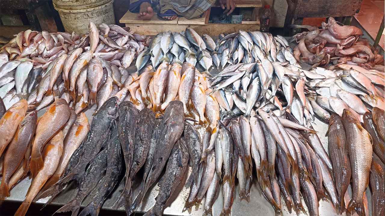 দামে কম, চাহিদায় এগিয়ে সাগরের ছোট মাছ