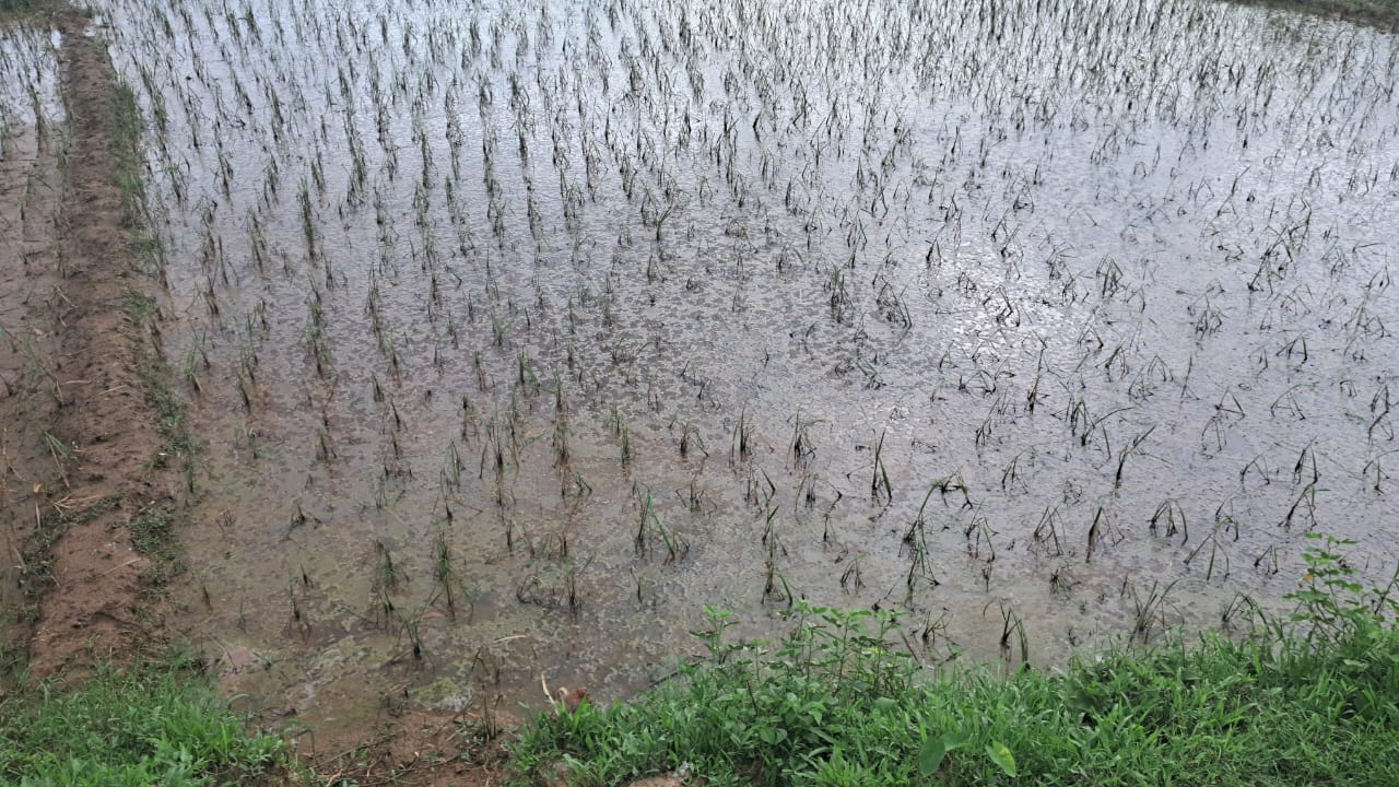 IMG-20240917-WA0051 IMG-20240917-WA0051