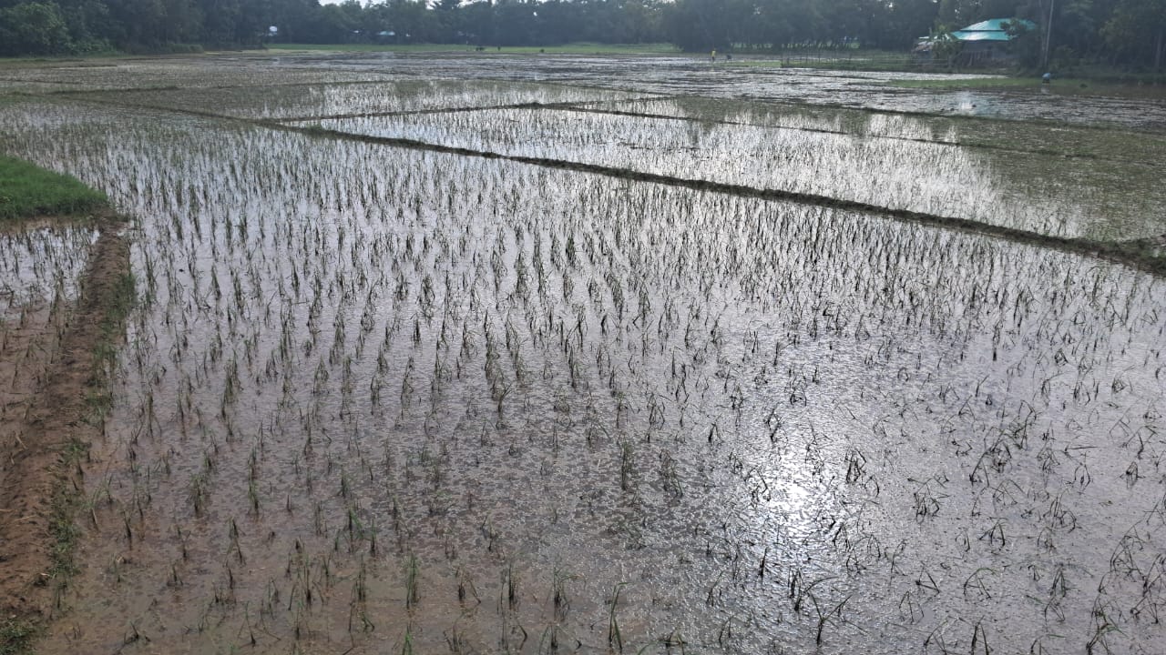 IMG-20240917-WA0053 IMG-20240917-WA0053