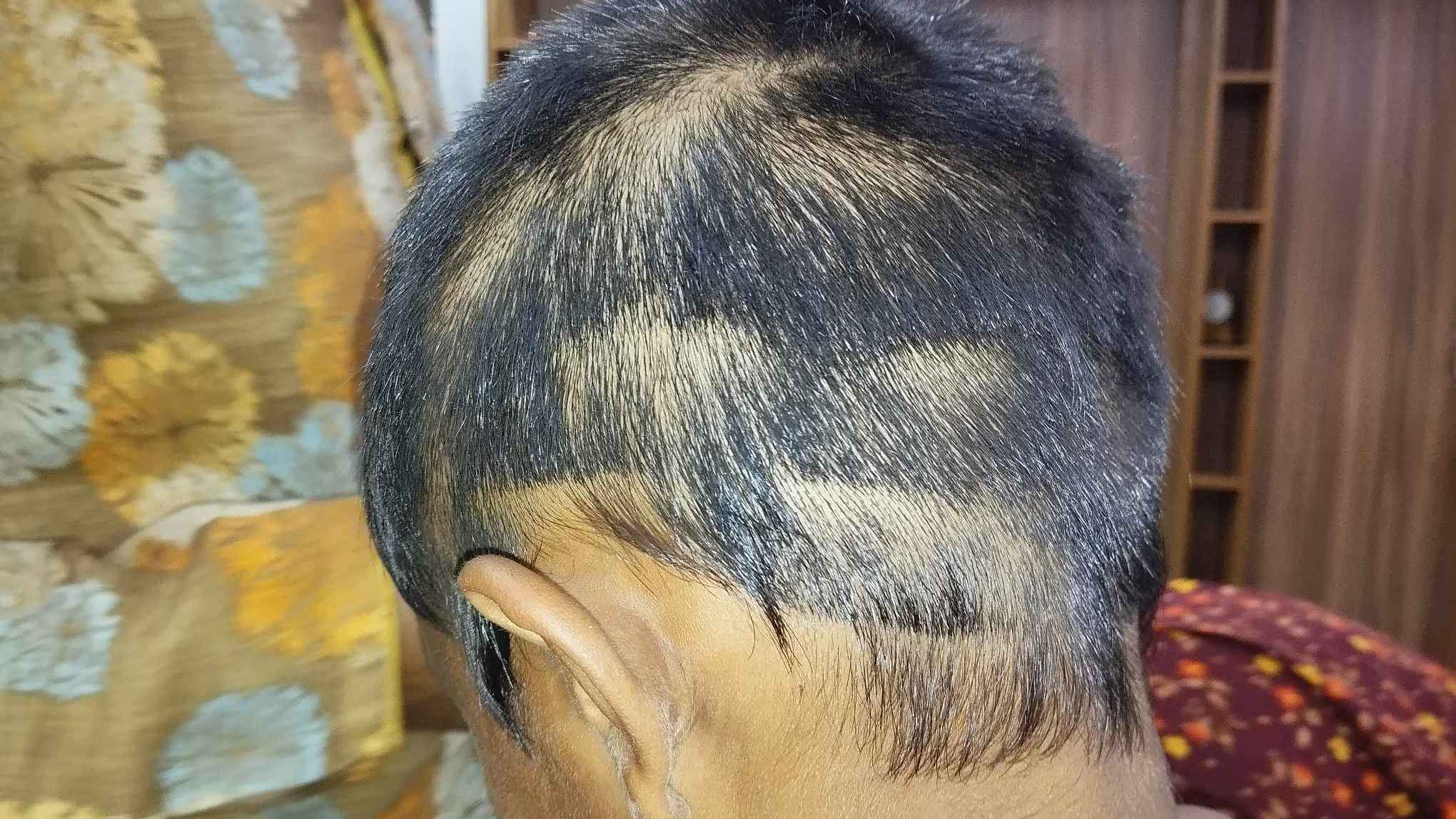 চুরির দায়ে মাদরাসা ছাত্রকে গাছে বেঁধে নির্যাতন, ৬ জনের কারাদণ্ড