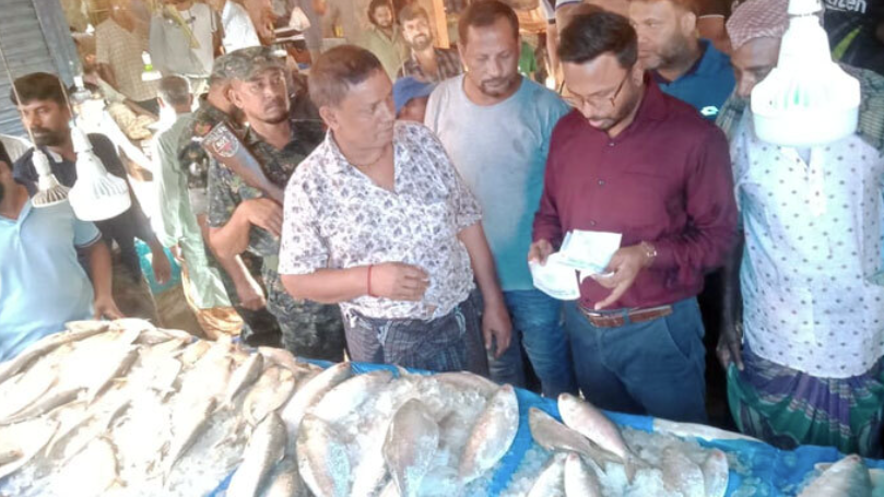 ফরিদপুরে ইলিশের আড়তে অভিযান