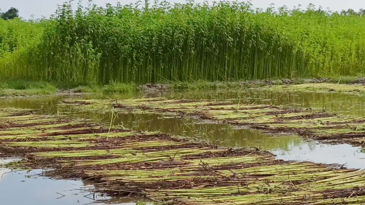 Thakurgong_11 Thakurgong_11