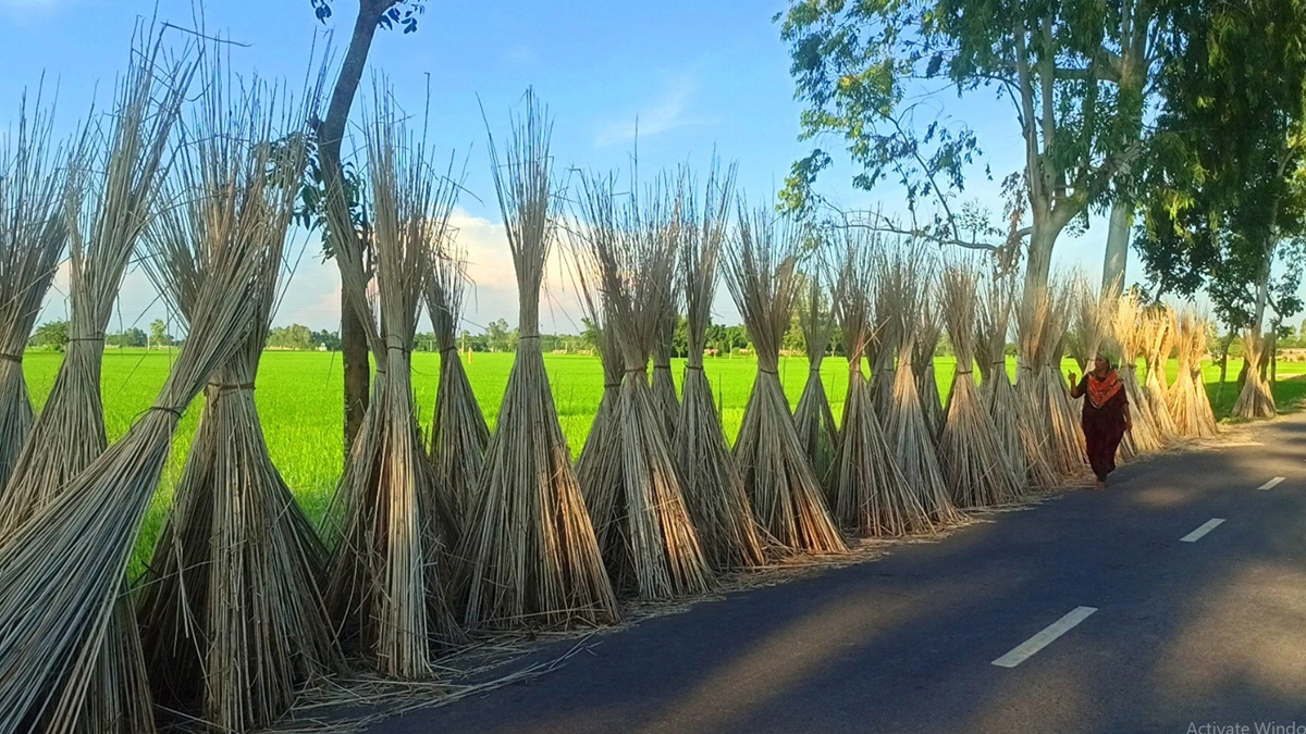 Thakurgong_7 Thakurgong_7