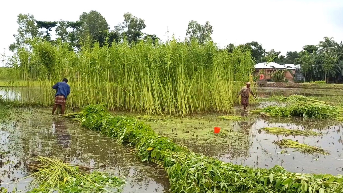 Thakurgong_8 Thakurgong_8