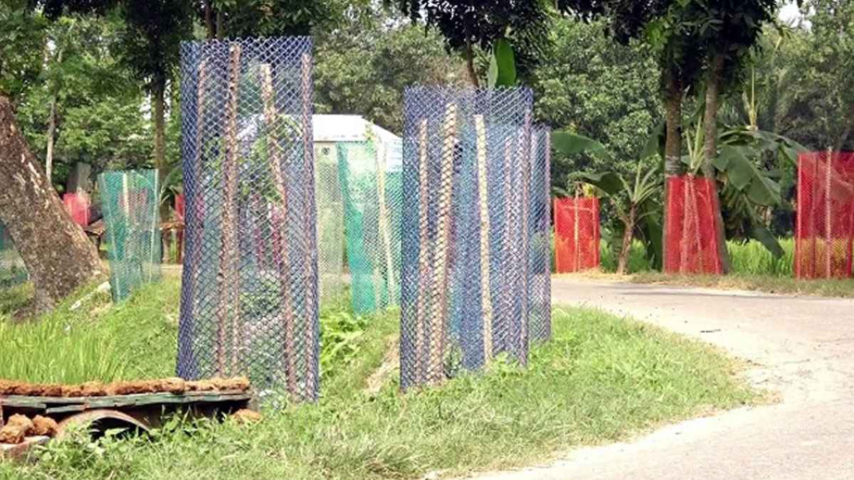 মসলা চাষে বদলে যাচ্ছে যে গ্রামের আর্থ-সামাজিক অবস্থা