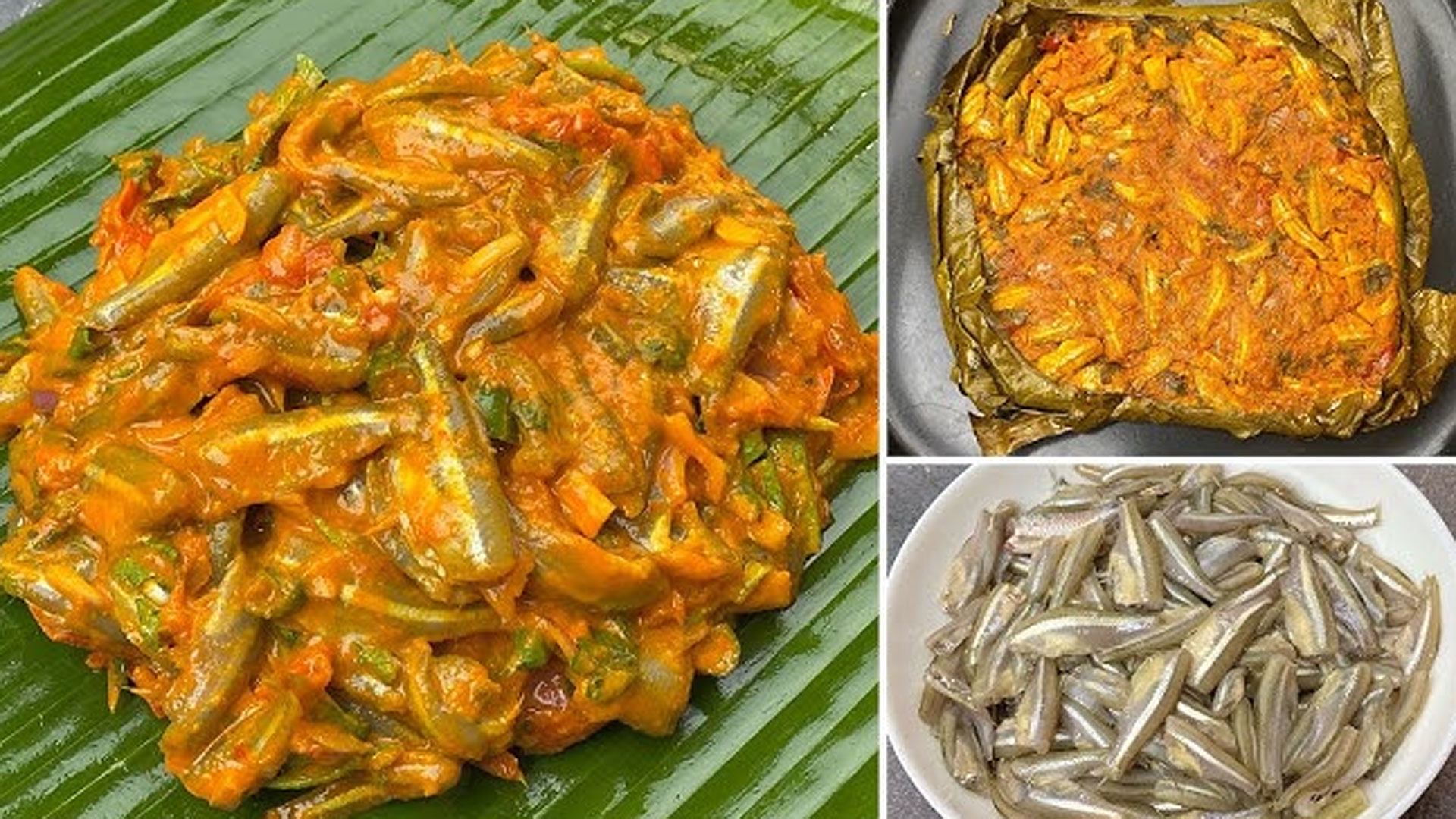 morich-khola1 morich-khola1