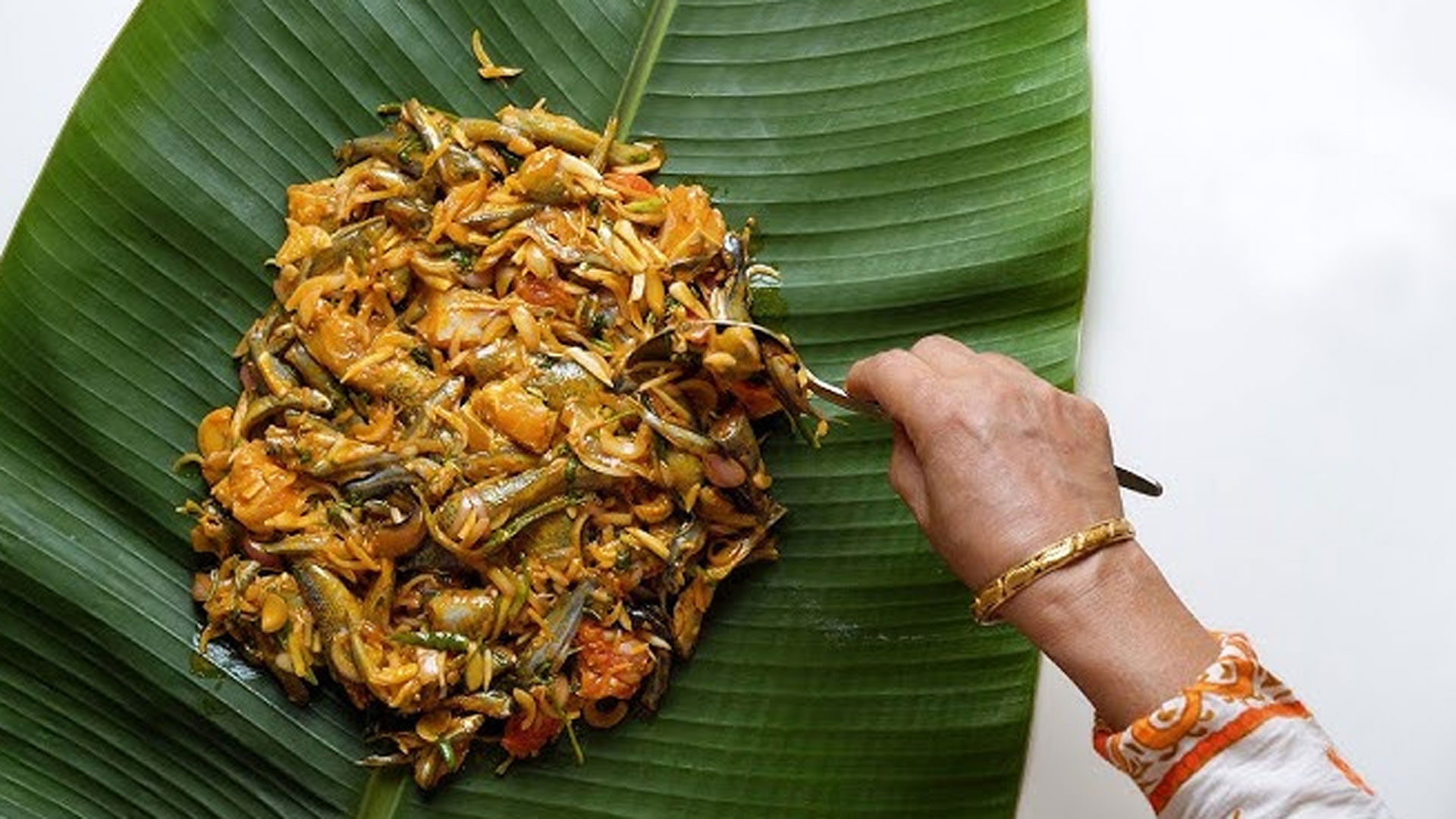 morich-khola2 morich-khola2