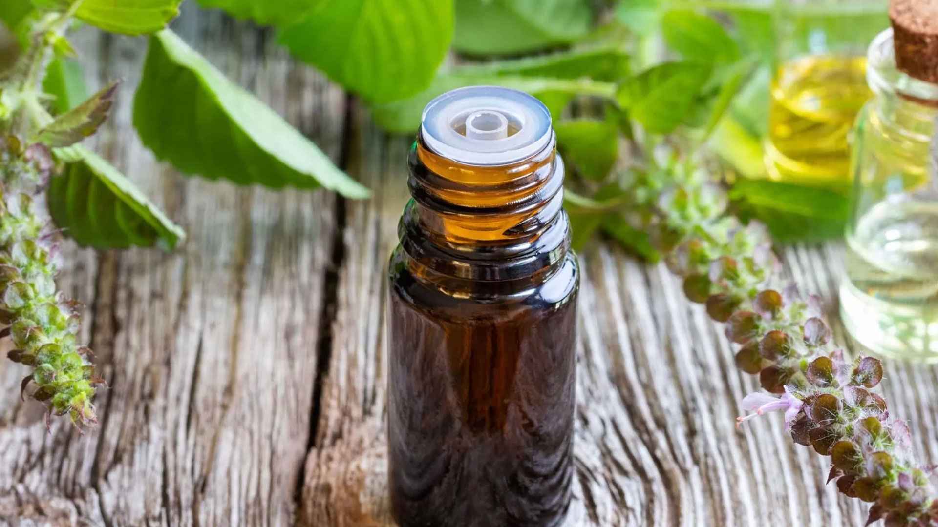 চুলের জেল্লা ফেরাবে তুলসী তেল, বানাবেন যেভাবে