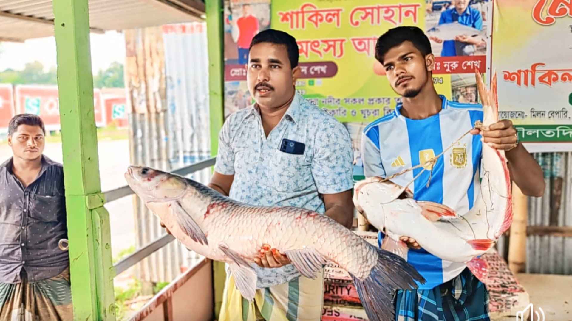 দৌলতদিয়ায় জেলের জালে ১০ কেজির ব্লাক কার্প