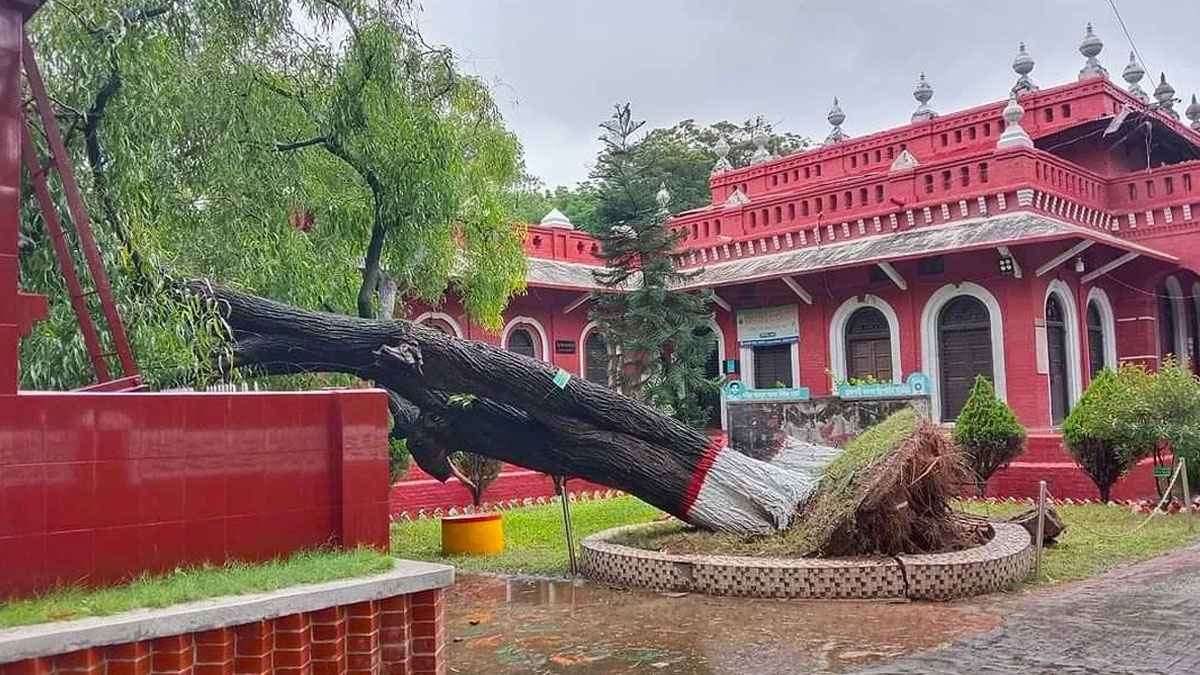 রাজশাহীতে বৃষ্টির সঙ্গে ঝোড়ো বাতাস, জনজীবনে স্থবিরতা