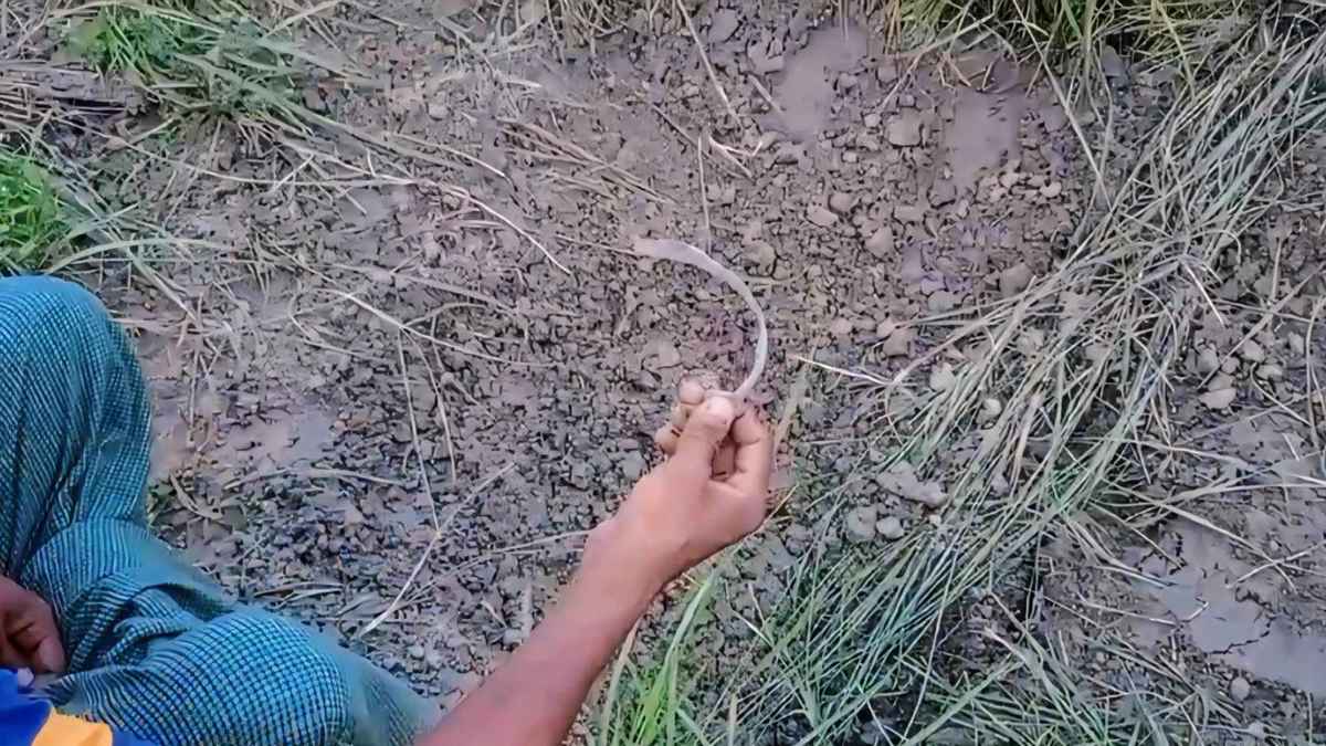 টাঙ্গাইলে কবরস্থান থেকে ৮টি কঙ্কাল চুরি