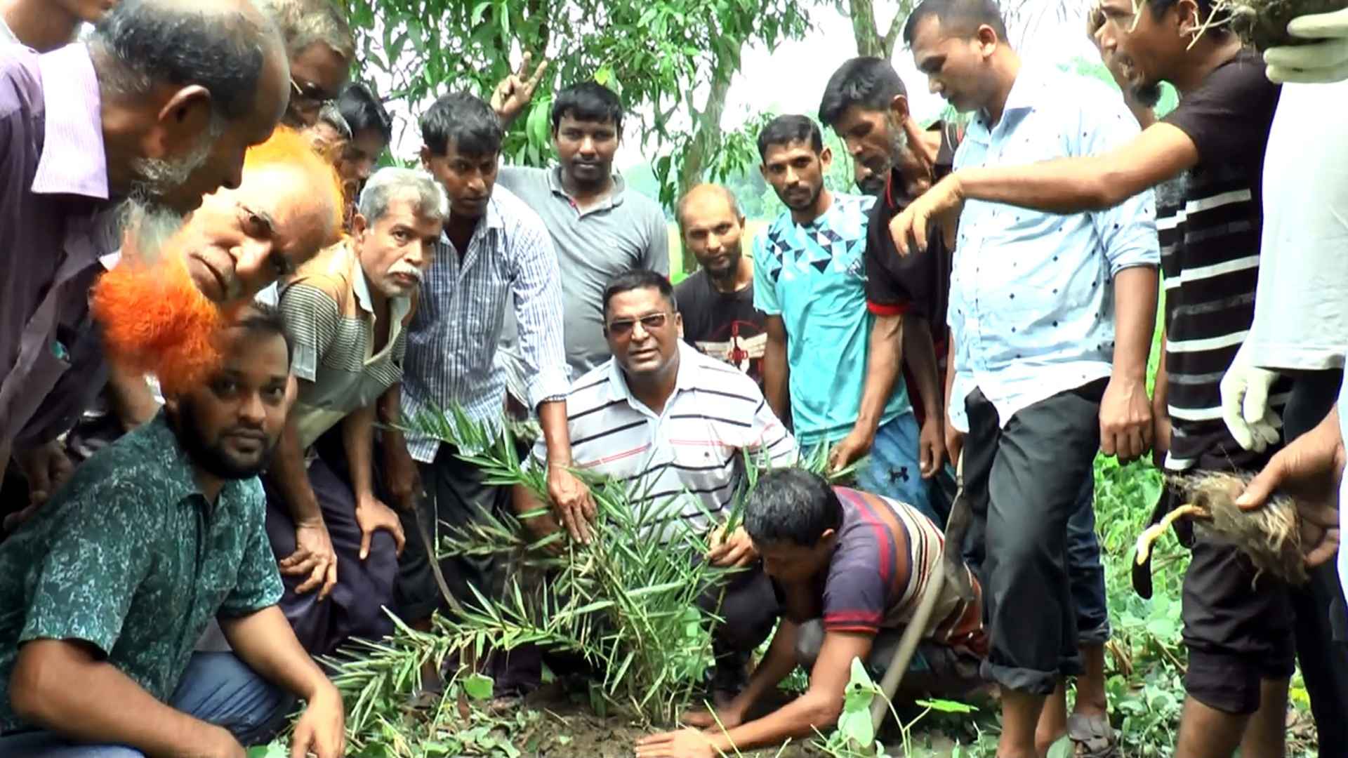 ঝালকাঠিতে বিএনপির উদ্যোগে তালের বীজ ও খেজুর চারা রোপণ