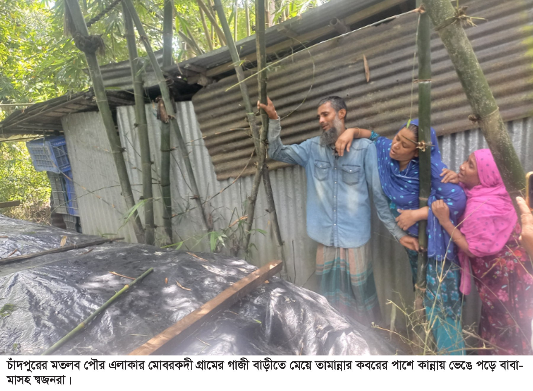 thumbnail_Chandpur_Matlab_Pictue_04-09-2024_(4)