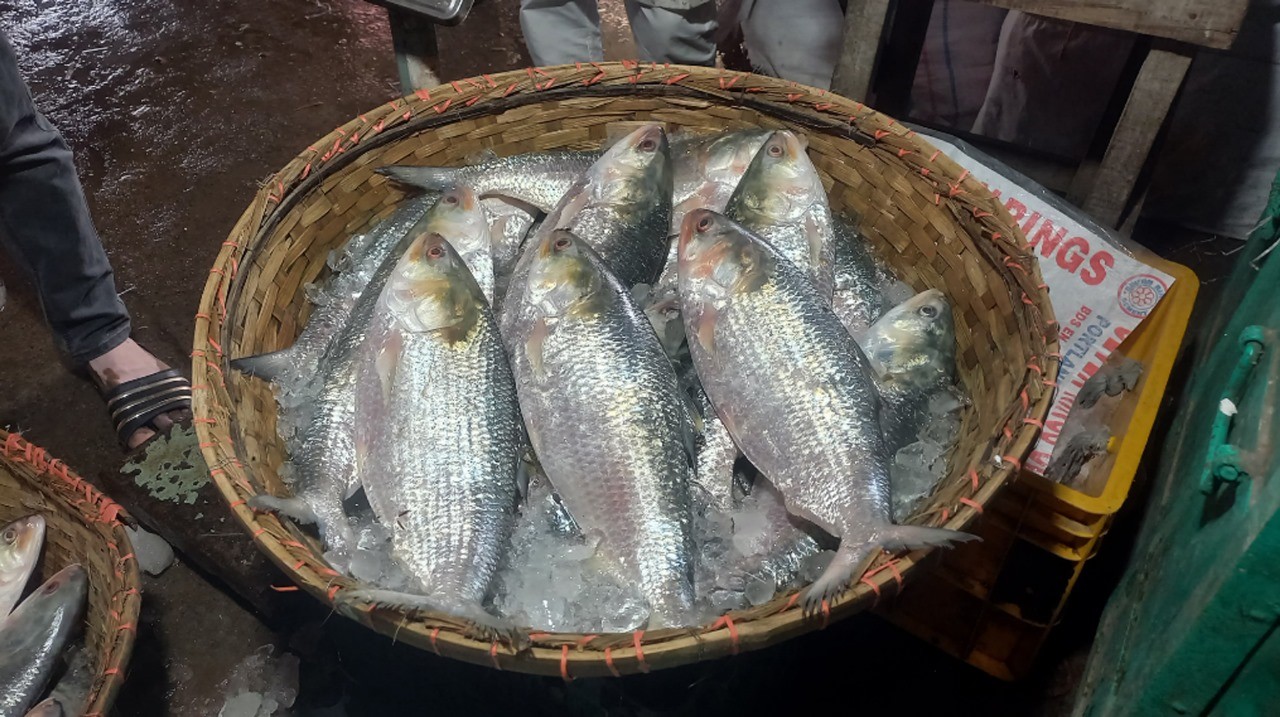 thumbnail_IMG-20240927-WA0002