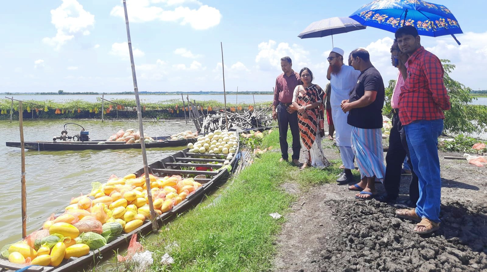 thumbnail_IMG_20240908_064210