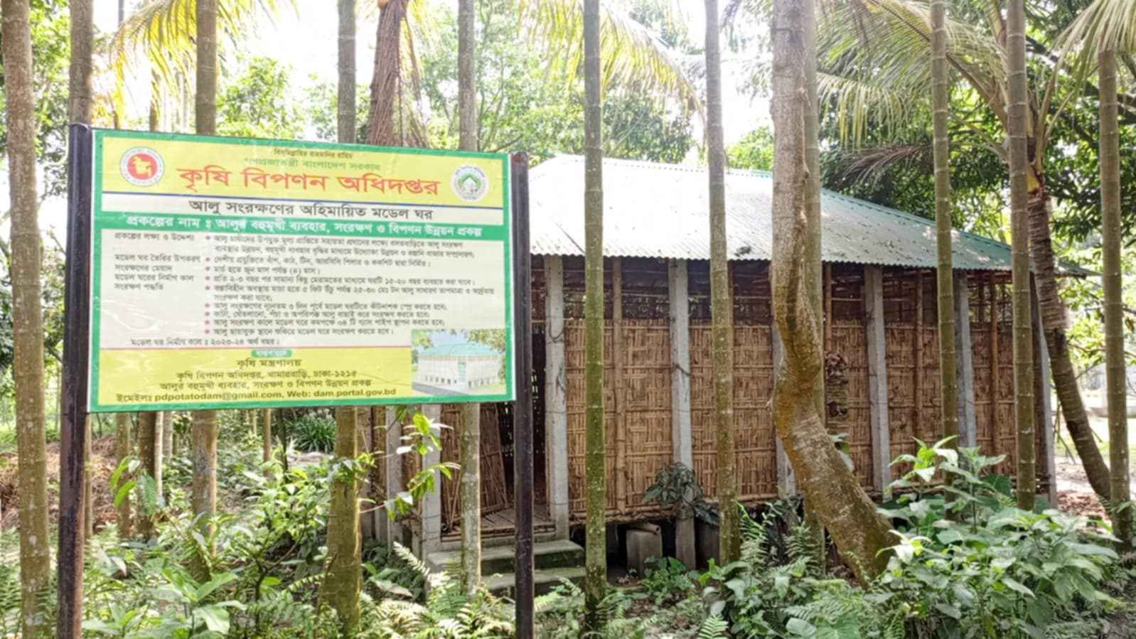 বগুড়ায় অহিমায়িত ঘরে দুই হাজার মেট্রিক টন আলু সংরক্ষণ